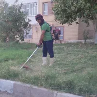 علف زنی