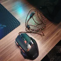 موس گیمینگ همراه با یک موس پد