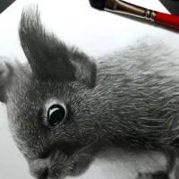 تابلو های طراحی و نقاشی مناسب هدیه دادن