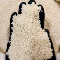 کنجد سفید پاکستانی