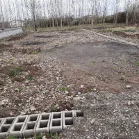 زمین ۳۰۰ متری فرهنگیان ضیابر
