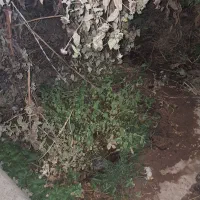 زمین-برا-فروش