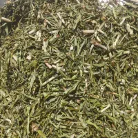 فروش گیاه دارویی بن سرخ(بنسور)