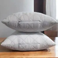 بالشت طب در درمانی