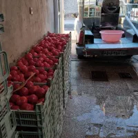 آبگیری گوجه رژوان