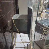 هود|هود|اهواز, کوروش|دیوار