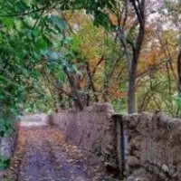 باغچه شهرکی زیر قیمت خیابان پدم ۷۵۰ متری