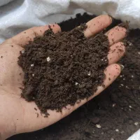 خاک غنی شده فضای سبز