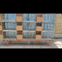 فروشقفس 9خان پژاوند گرینچیک برزیلی خورشیدی هلندی