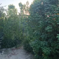 ویلاباغ ۵۰۰متری