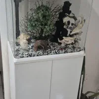 اکواریوم