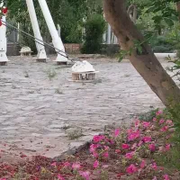 خانه فروشی باغچمک صاحب الزمان۱۰