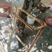 باربند