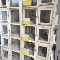 دو عدد قفس چوبی درجه یک مخصوص پرنده