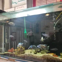 آکواریوم کامل
