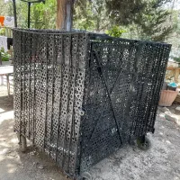 فقس سگ و مرغ
