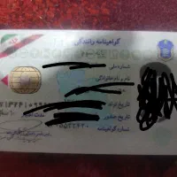 جا کارتی ، کیف مدارک گمشده