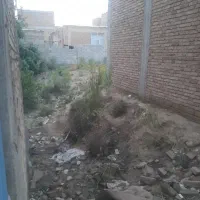 زمین صد متری قطعه ۳۵ دانه روغنی