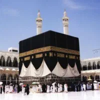 شش عدد فیش حج عمره