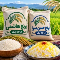 برنج هاشمی و حسن‌سرا گیلان درجه یک امساله کرج