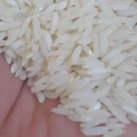 برنج درجه ۱هاشمی