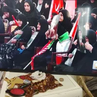 تلوزیون ۵۰ اینچ هایر