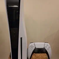 PS5 fat