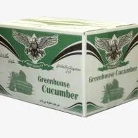 کارتن خیار نو  ۲۰ کیلویی