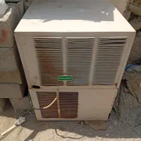بوکس|سایر لوازم برقی|جاسک, |دیوار