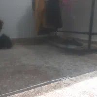 تلویزیون ۵۰ اینچ پنل شکسته