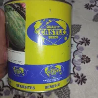 بذر هنداوانه
