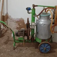شیردوش دو دوش