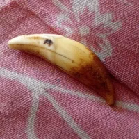 آویز نماد دار