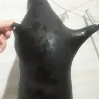 هیزه