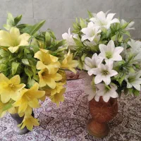 دو عدد گل و گلدان