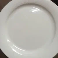 بشقاب رستورانی زرین هر عدد