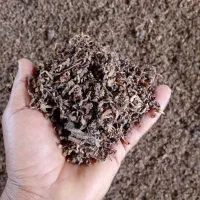 فروش خوراک دام چغندری پرک خشک