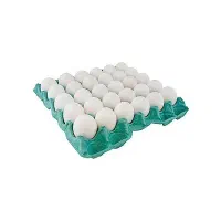 فروش تخم مرغ کارتنی و شا نه ای
