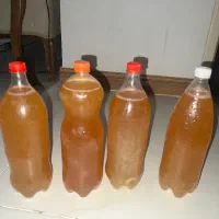 ابغوره