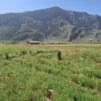 فروش زمین تجاری درشهرستان بیضا