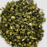 فروش گیاه خارخاسک وحشی (طبیعی)