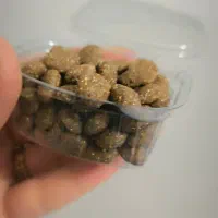 پروتئین گیاهی
