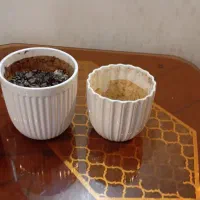 دو عدد گلدون سرامیکی