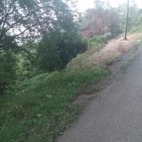 فروش-باغ
