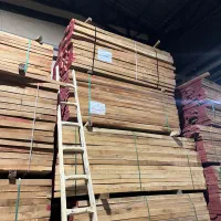 واردات چوب راش خشک گرجستان عمده