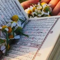 استخاره سرکتاب