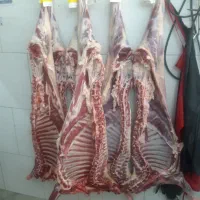 گوشت گوسفندی کالا برگ