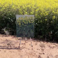 کانال کافه هنر و طراحی