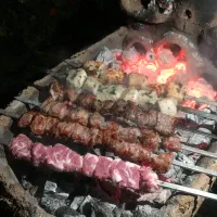 اشپز خانه سهیل نیاز به نیرو مجرب اشپز نیاز دارد
