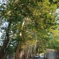 تهراندشت-بازدید-این-زمین-برای-سخت-پسندان